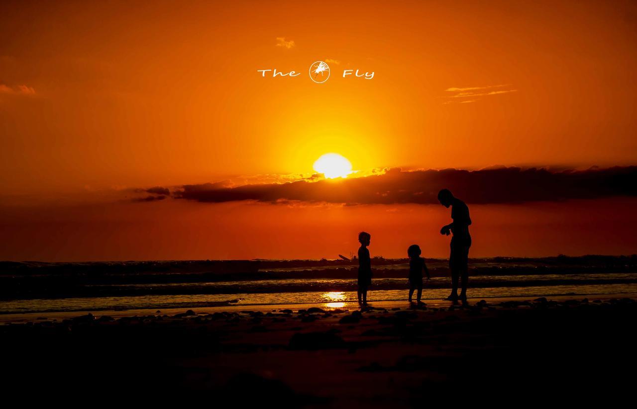 Funky Monkey Lodge Playa Santa Teresa  외부 사진